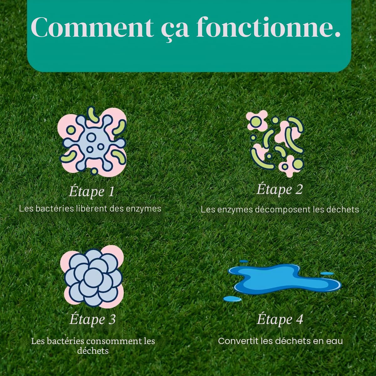 Eco Strong Éliminateur d'odeurs d'extérieur pour urine de chien, chat et animal | Force professionnelle pour cours, gazon, niches, patios et terrasses (3,6 l)