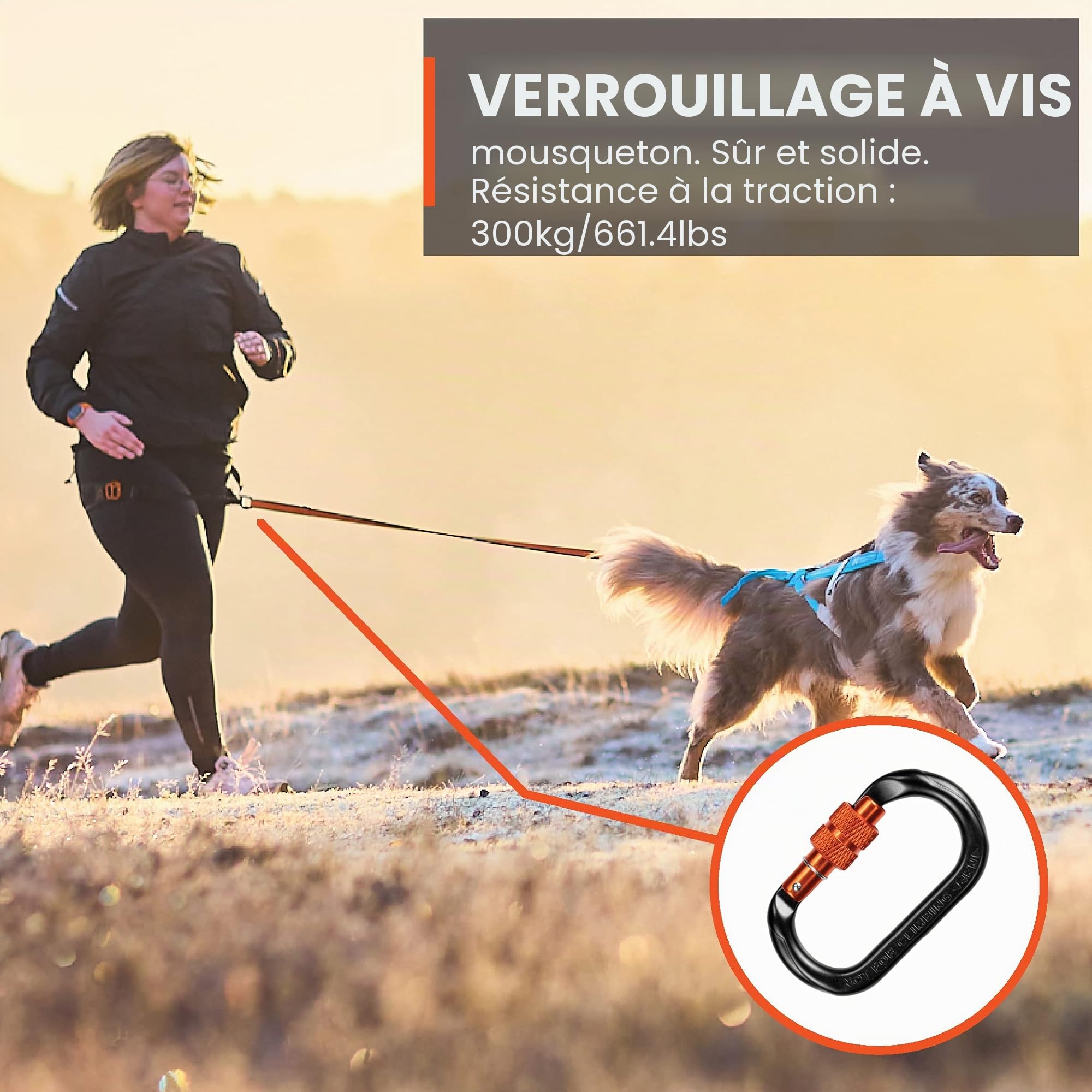 CaniX Belt Parent