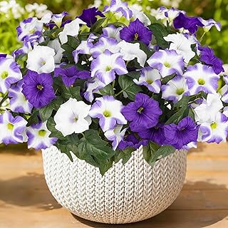 Artificial UV Resistant Outdoor Silk Petunias