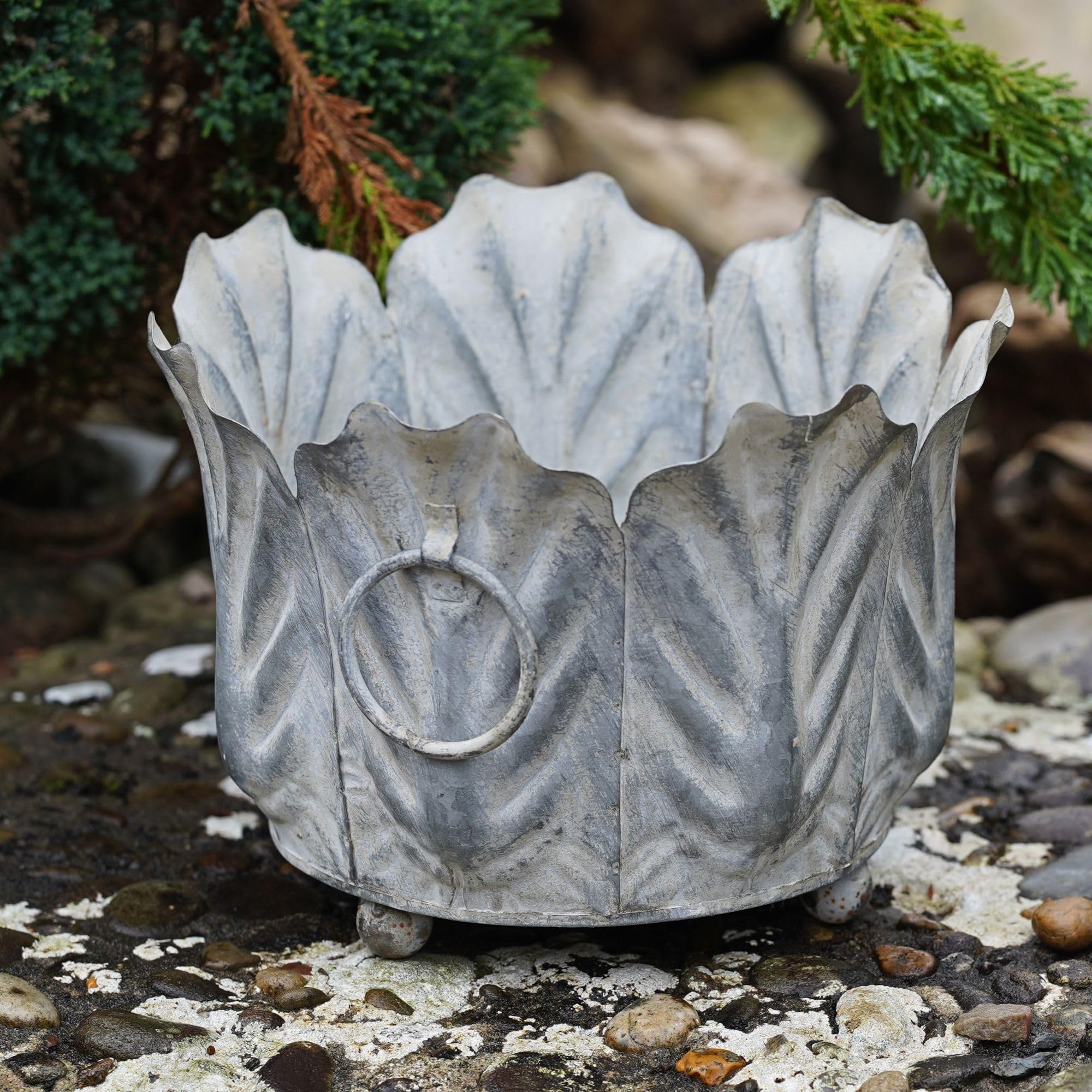 Burgess Home & Garden Grey Acanthus Planter Zinc Galvanised Metal Flower Pot Trough Floral Garden Ornament Decoration Indoor Home Trough Metal Pots