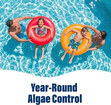 Poolife Super AlgaeBomb 60 Algaecide 1 Qt - Powerful Pool Algae Control Treatment - Fast-Acting Non-Foaming Formula - Kills & Prevents Green, Black & Mustard Algae - for Pools, Spas & Fountains
