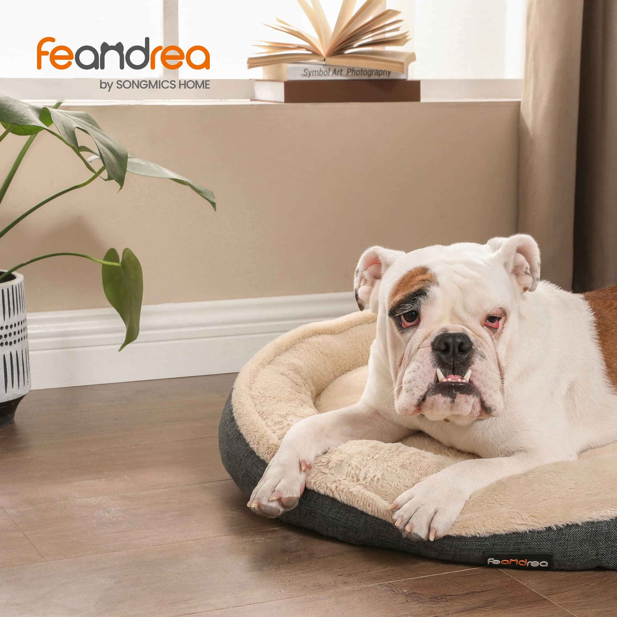 Feandrea Cuccia per Cani Gatti, Forma di Ciambella, 75cm, Grigio Scuro PGW075G01