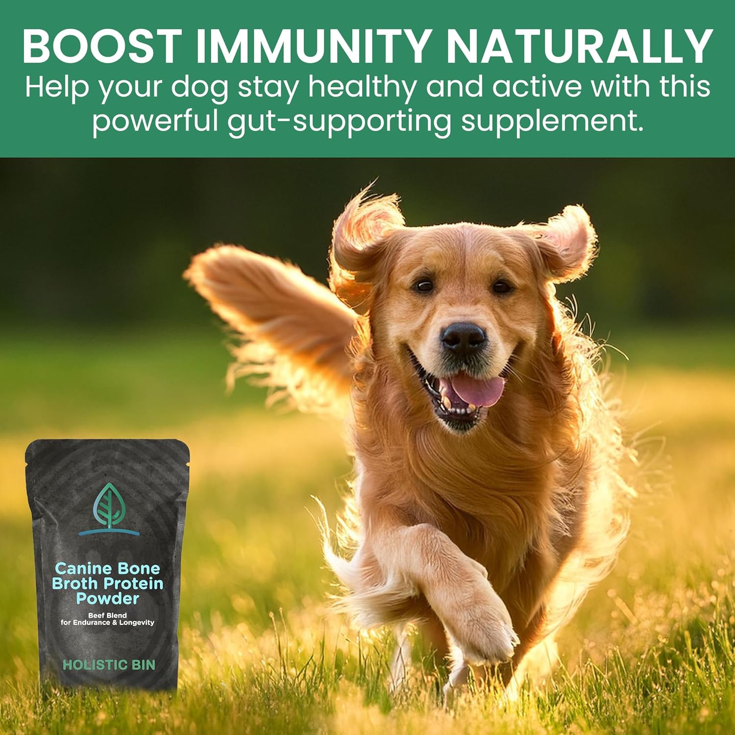 Holistic Bin Canine Beef Bone Broth Protein Powder Dog Food Toppers | Daily Supplement Powder with Bone Broth, Spirulina Nib & Beetroot | Glossy Coat, Joints & Overall Wellness | Beef Blend (50g)