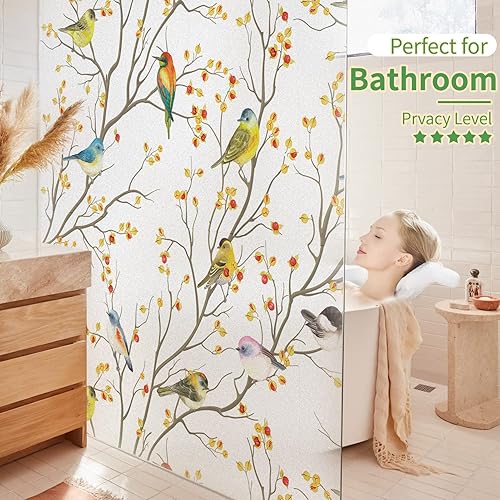 Miniatura 4 de DKTIE Película decorativa para ventana de privacidad con herramientas de instalación, película de vidrio esmerilado de pájaro esmerilado,