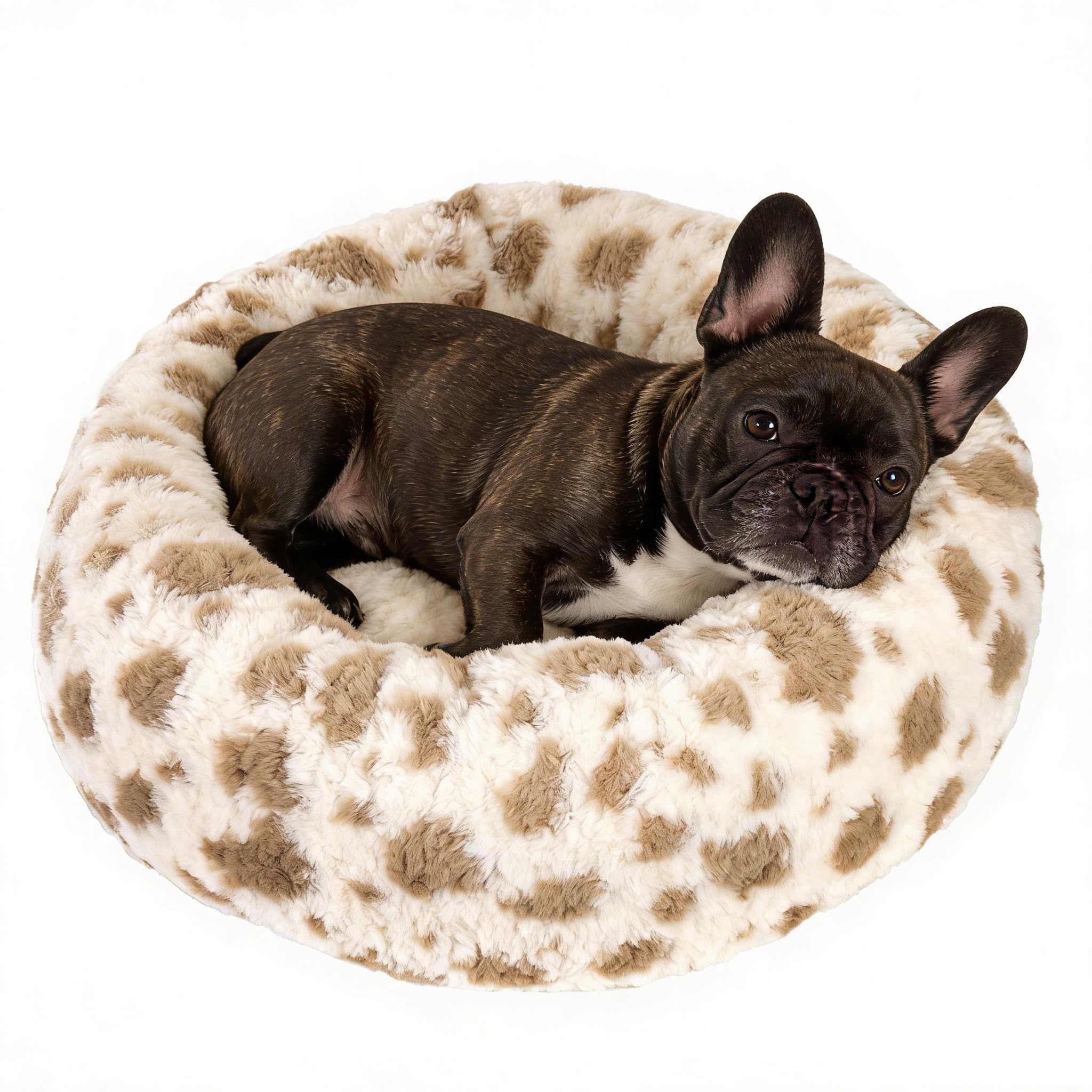 Avont Donut Dog Bed, Round Calming Pet Bed for Small and Medium Puppy Cats, with Removable Cover, Circle-Shaped, Anti-Anxiety, Cozy & Washable -M (76 CM)