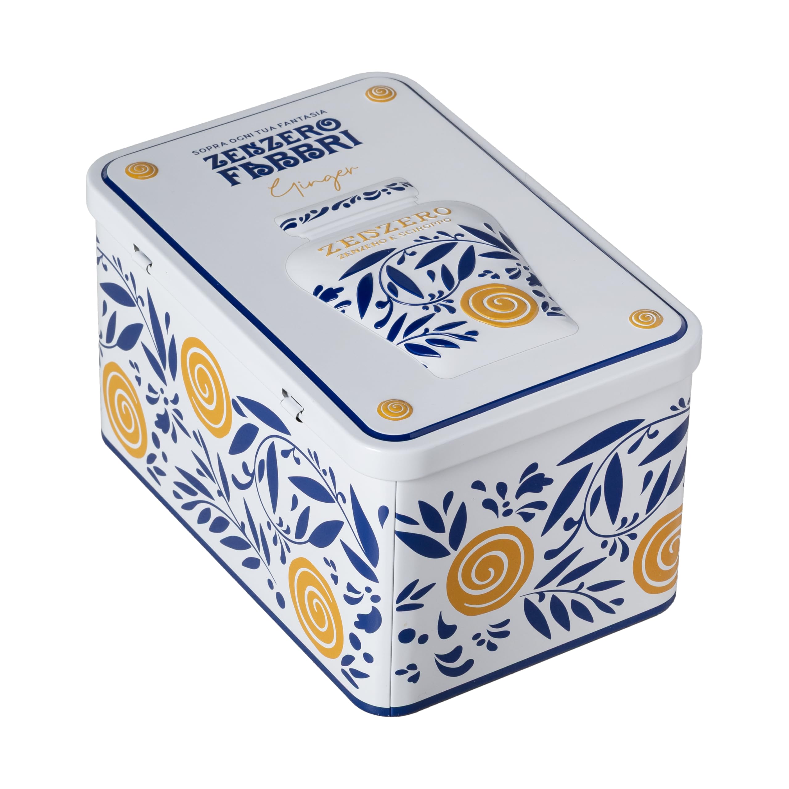 Latta Regalo Zenzero Fabbri 600g con cucchiaino e ricettario