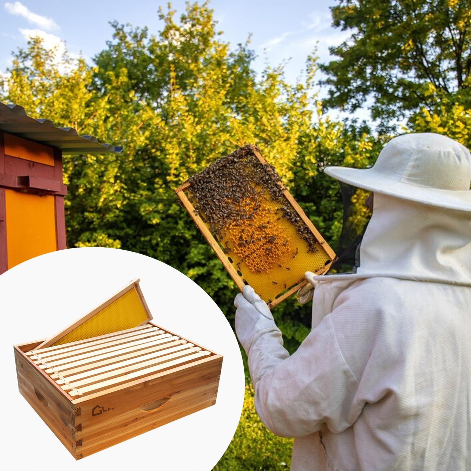 Kit de démarrage de ruche, boîte à essaim avec 10 rayons moyens, ruche en bois massif avec cadre en bois et fondation cirée, boîte de ruche durable, fournitures d'apiculture, maison d'abeilles 100