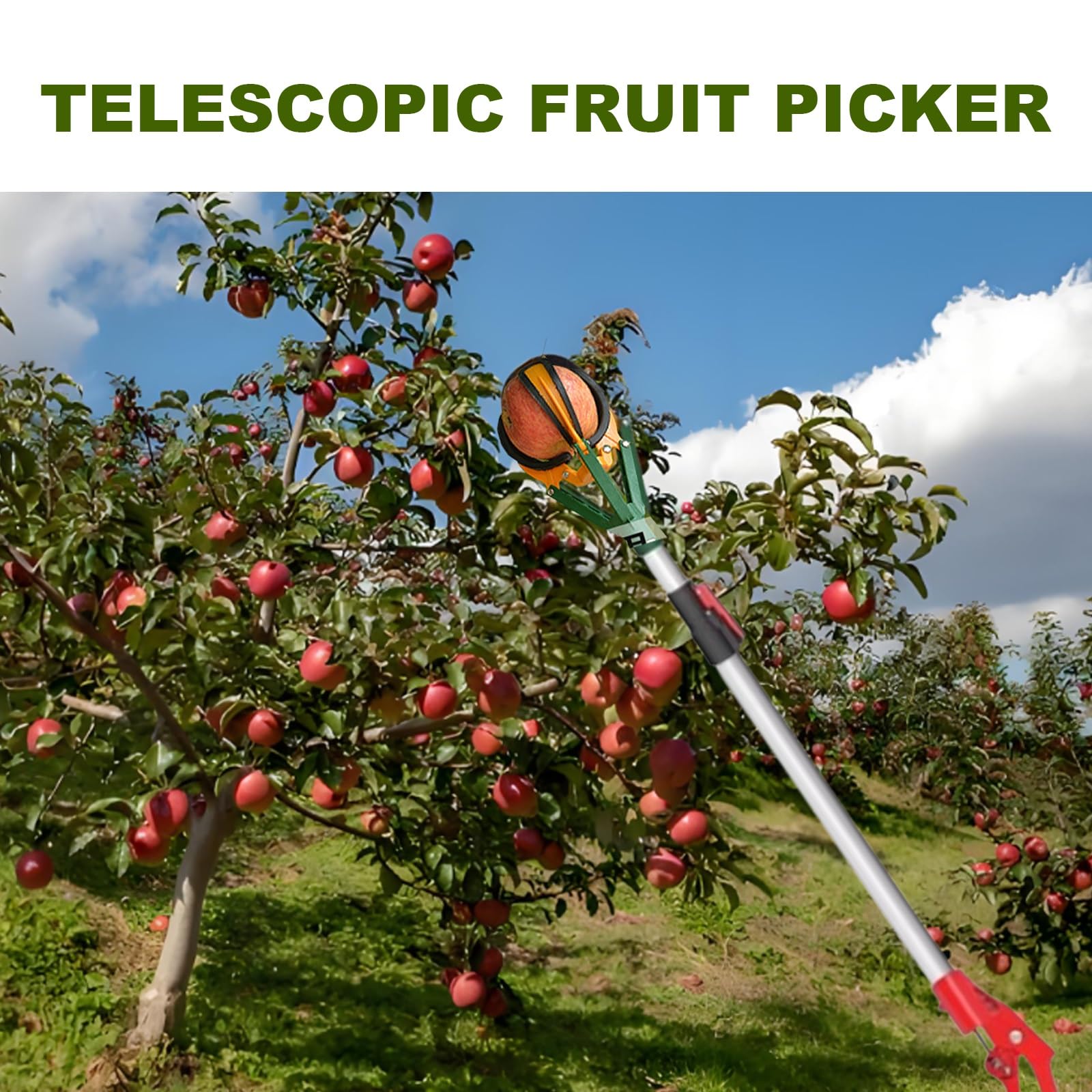 cueille-Fruits, Perche réglable en Aluminium de 39 à 59 Pouces, Outil cueillette Multi-Fruits, Attrape-Fruits for Pommes et Oranges, Facile Utiliser