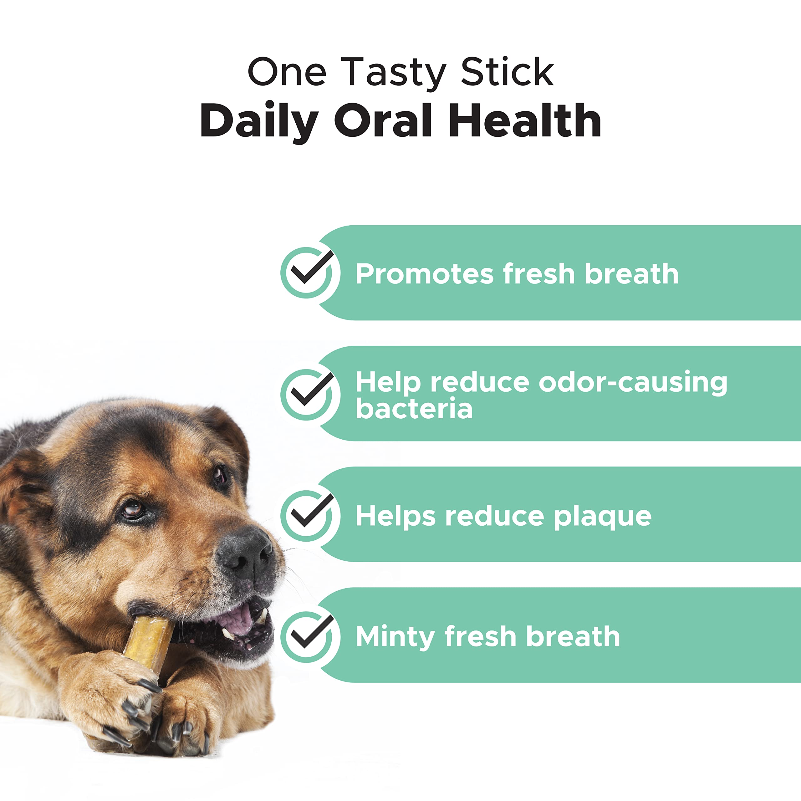 How To Help Dog Breath Better