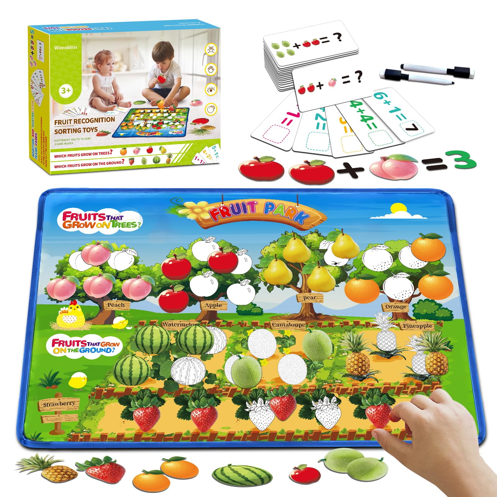 Wiznobliss Sorting Toys for Toddlers,Fruit Sorting Matching Game,Addition and Subtraction Flash Cards, Montessori Fine Motor Sensory Toys for Toddlers 3+ Years Old.