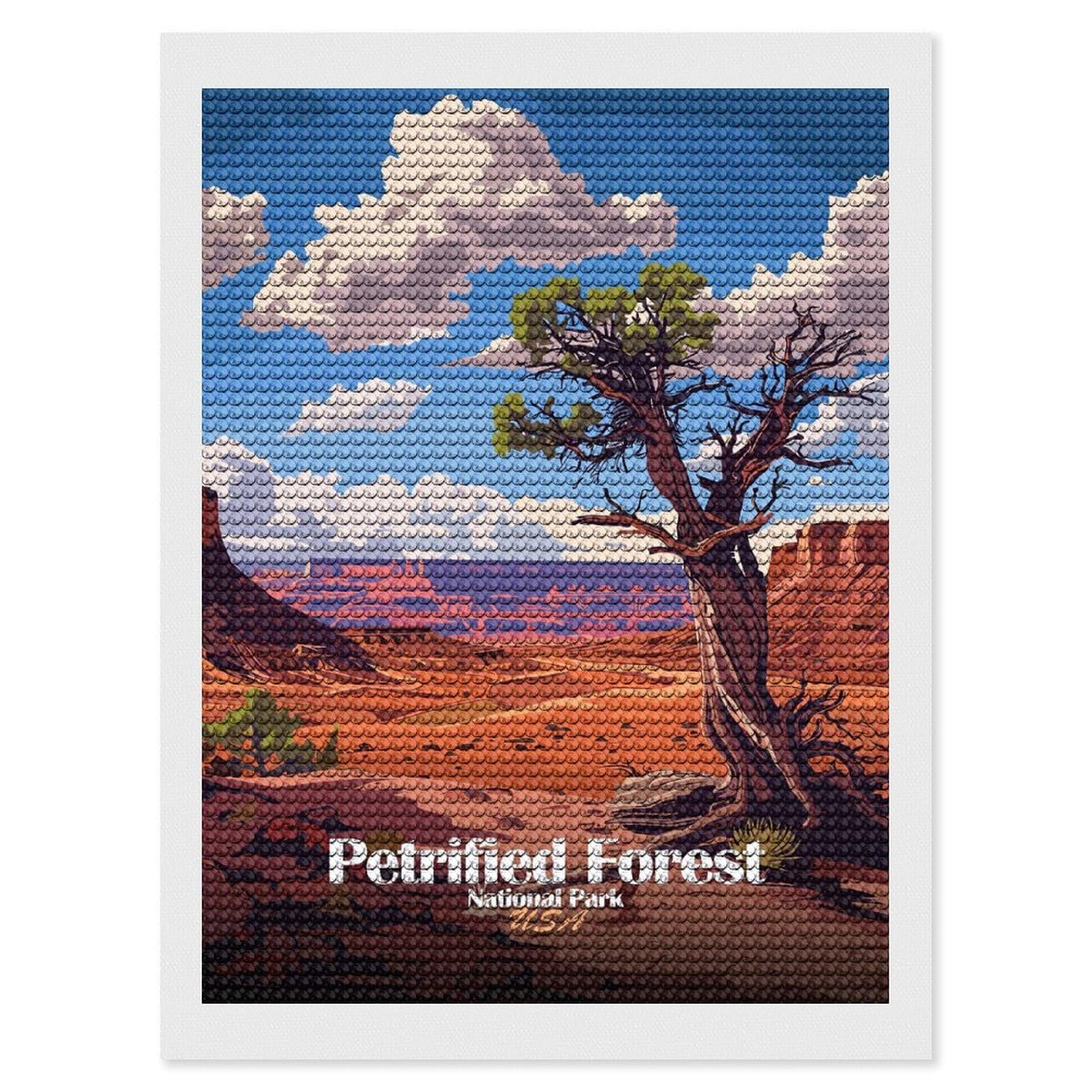 Junmoney Petrified Forest National Park Illustration Diamond Art Kit 12"x16", Relaxing DIY Hobby, Satisfying Creative Project, Living Room Decor, for Women