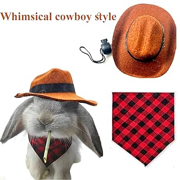 帽子 CROWTED HATTERS Western Weight Rabbit seek-Western Weight Rabbit – CROWTED HATTERS