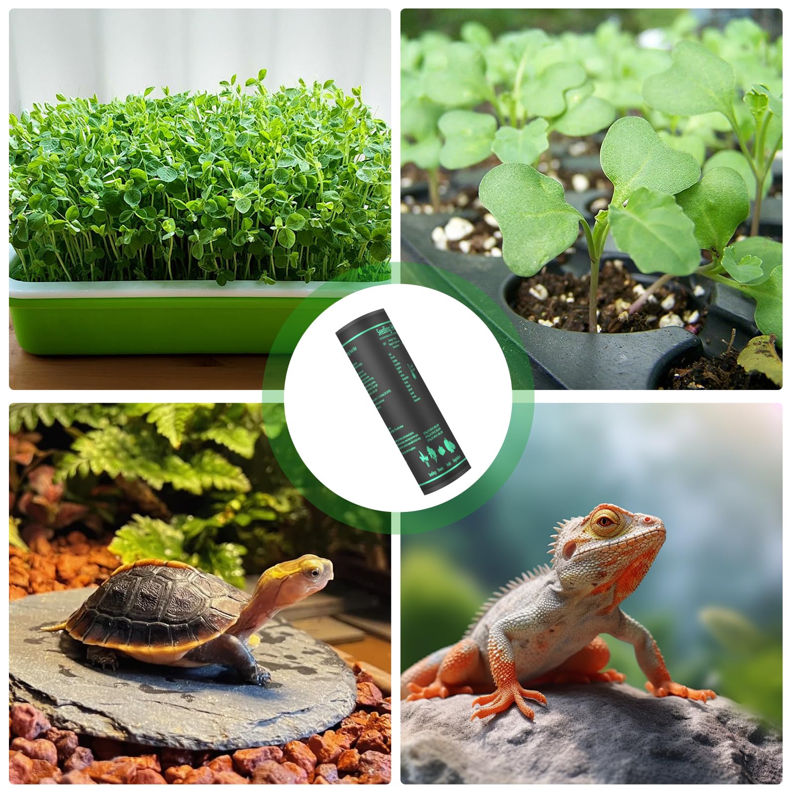 Heizmatte mit Thermostat, 50W Wärmematte Terrarium, PVC wasserdichte Pflanzen Gewächshaus Heizkissen, Erlaubt Temperatur Regelung in 1℃ (20-45℃), für Sämlinge, Haustiere und Reptilien