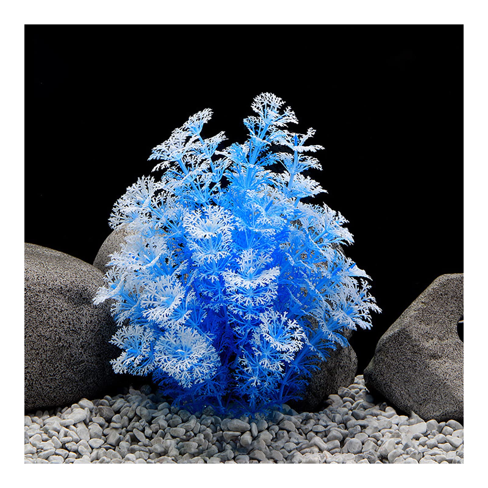 mammillaria gracilis Mammillaria gracilis fragilis monstrose 'Arizona Snowcap' – Altman Plants main image 1