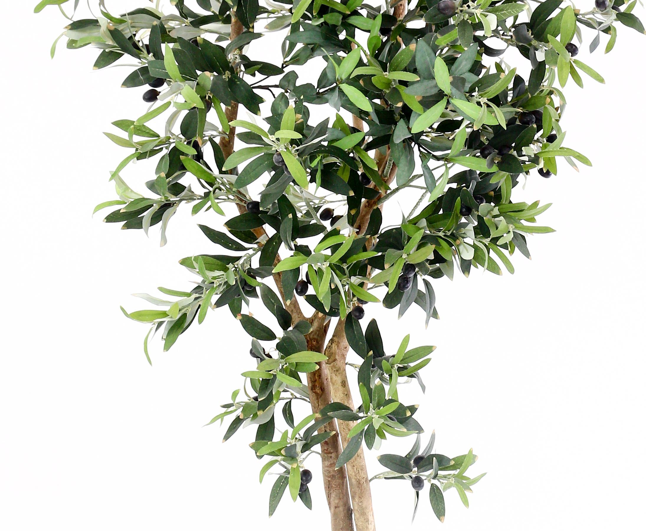 Aceitunas de 175 cm Algodón con 2560 Fibra Textil Hojas y Natural Troncos