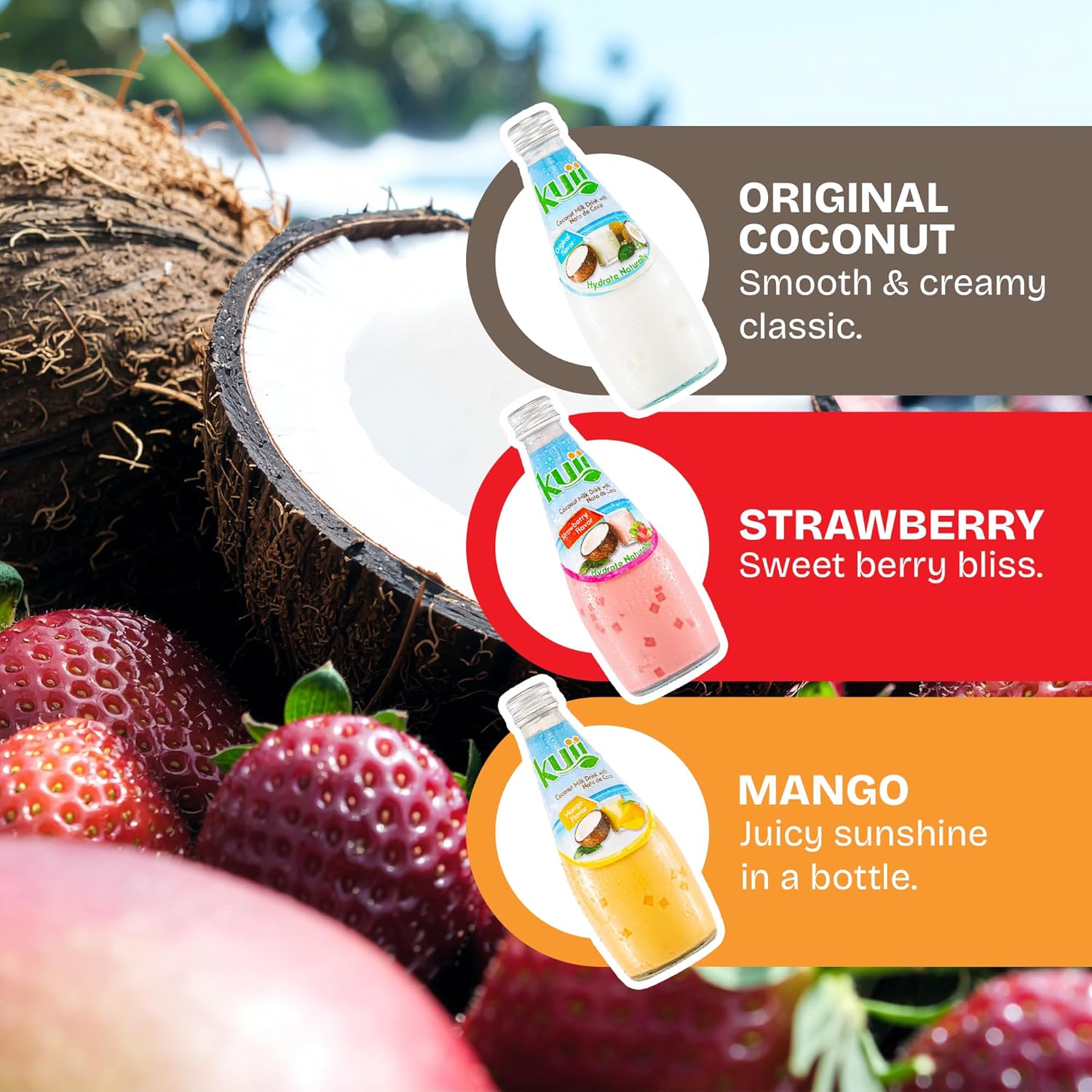 Kuii Coconut Milk Drink Variety Pack – 12 Count with Original Coconut, Strawberry & Mango Flavors – Refreshing Drinks with Nata de Coco for Fun & Fruity Tropical Hydration, 9.8 fl oz Bottles