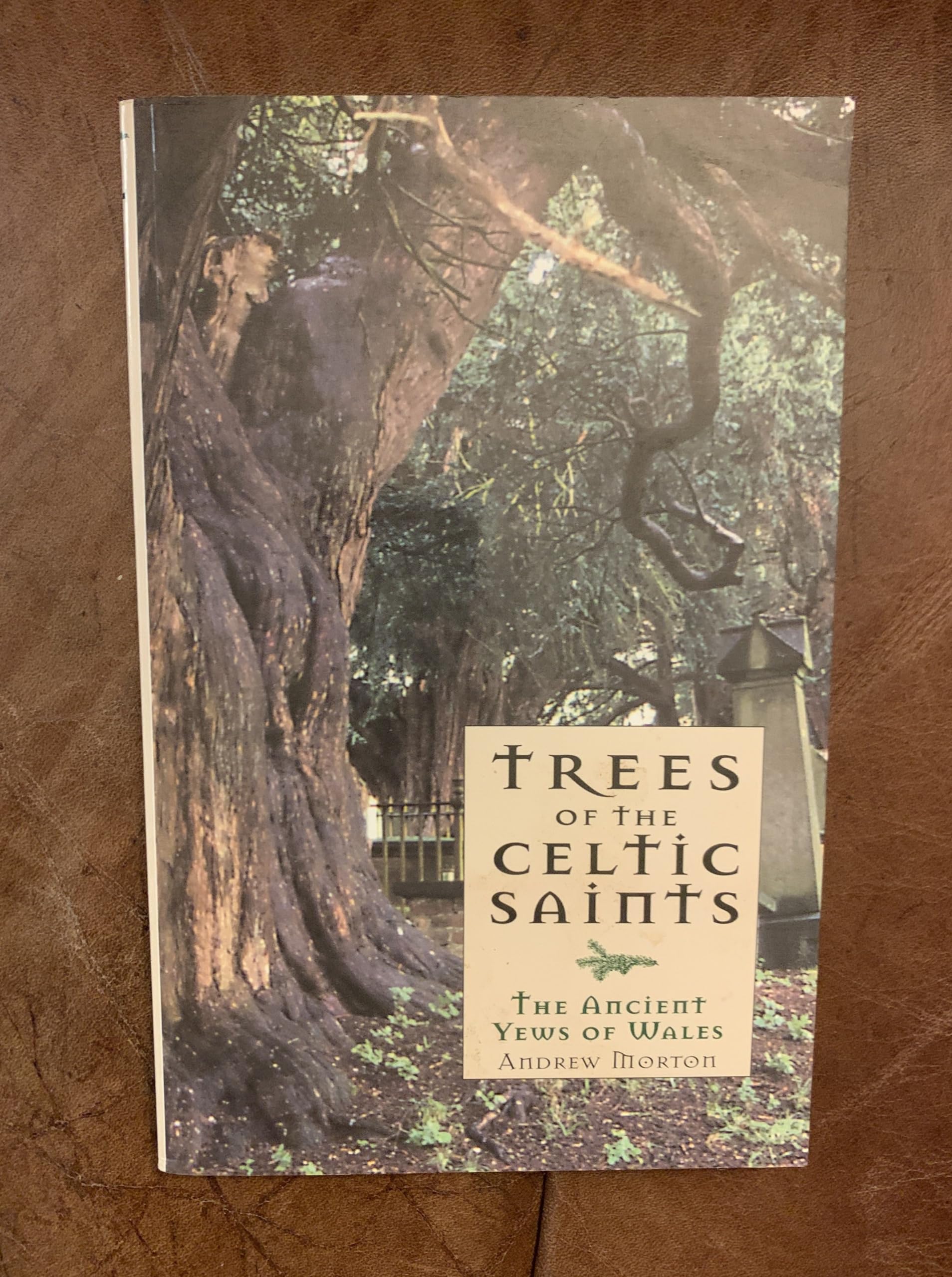 Trees of the Celtic Saints ? The Ancient Yews of Wales by Andrew Morton