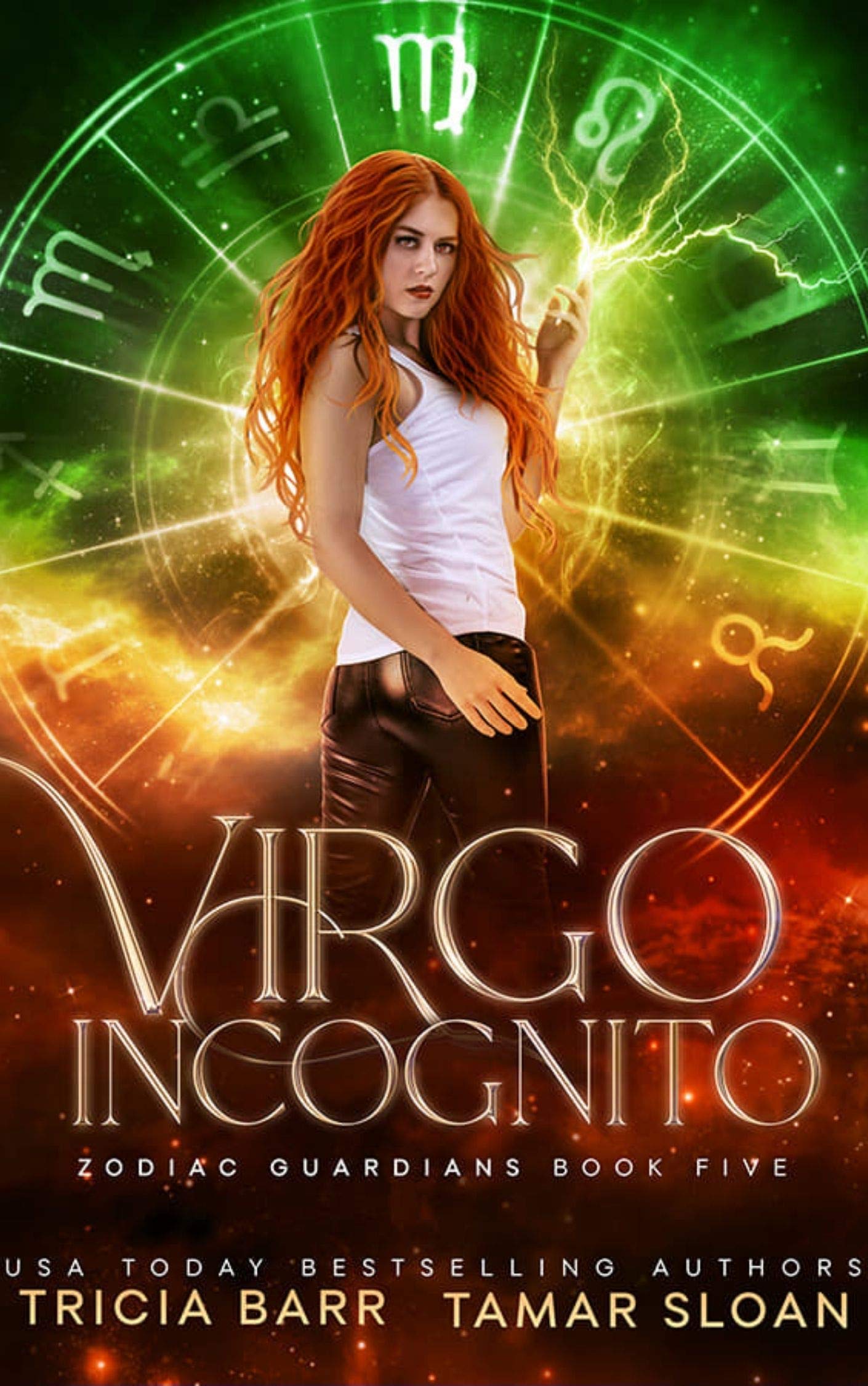 Cover of Virgo Incognito