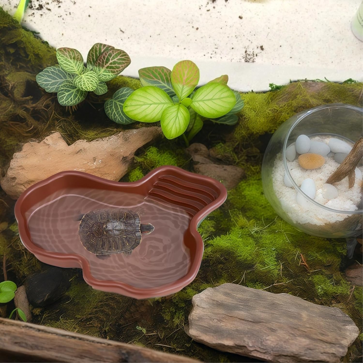 Large Reptile Bathing Pool, Plastic Snake and Turtle Water Bowl, Irregular Shape for Geckos and Small Pets
