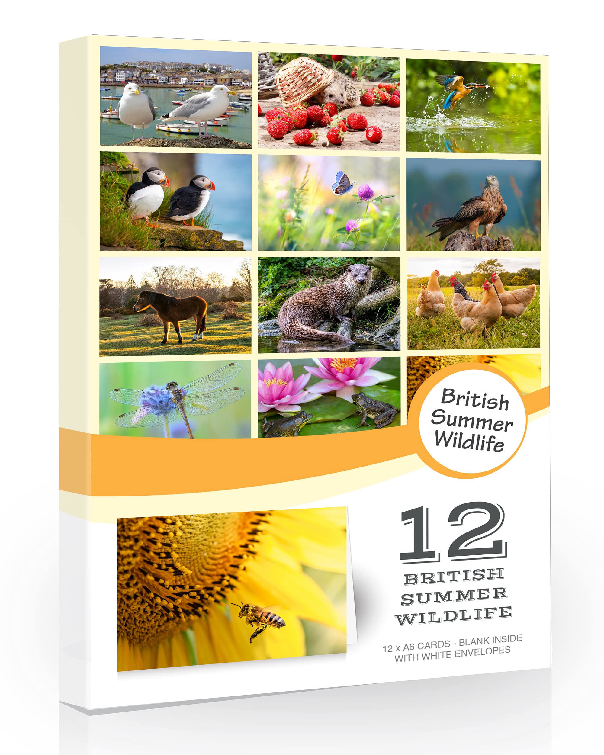 Olivia Samuel12 x British Summer Wildlife Folding Greeting Cards with Envelopes. Summer UK Countryside Collection. Blank Inside for All Occasions