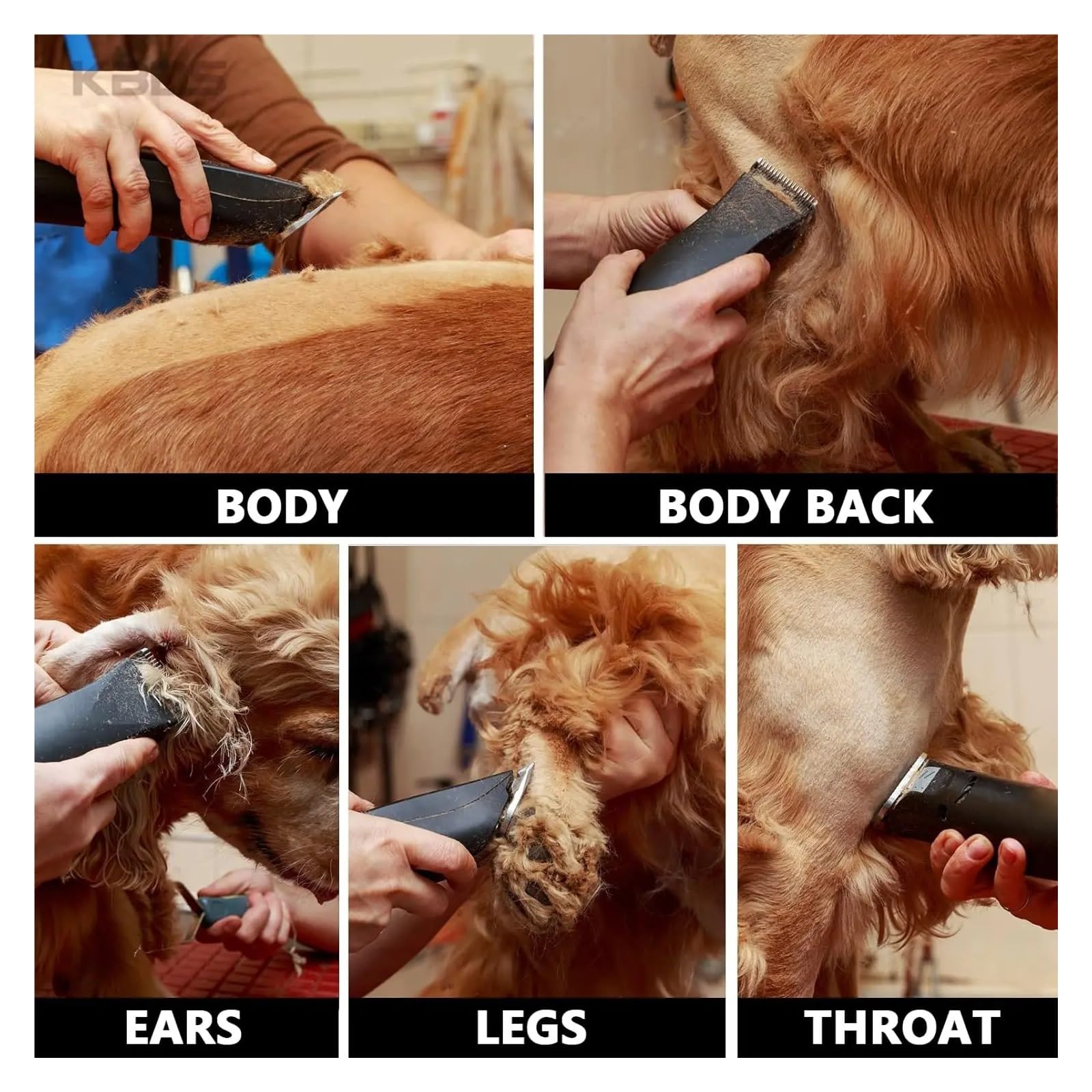 Lama Staccabile For Animali Domestici For Cani, Compatibile Con Wahl, Tosatrici For Animali Serie KM, Compatibile Con Andis, AG, AGC, SMC E Altro, Facile Da Smontare(NO.(13mm))