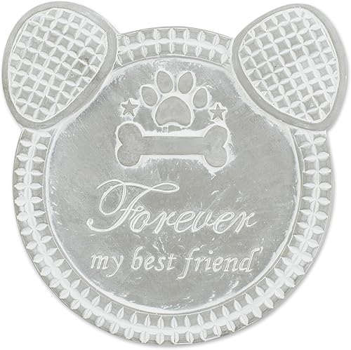 Accent Plus Forever My Best Friend - Piedra de paso para perro
