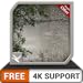 Wet Rainy Jungle HD - Free Romantic Theme for TV & Fire Devices