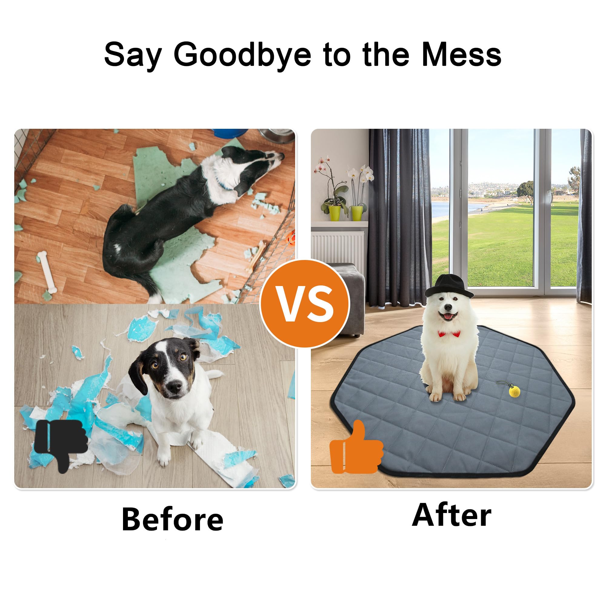 https://m.media-amazon.com/images/I/81CAtdvvp5L.jpg