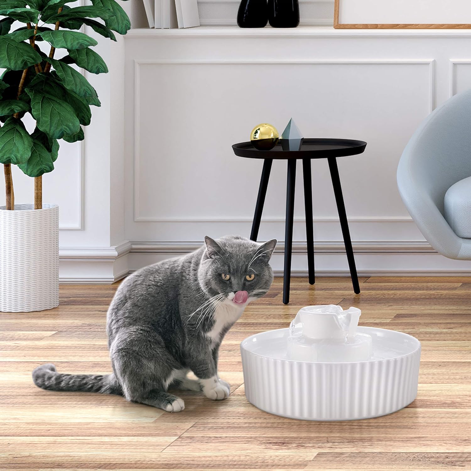 Keprix Ceramic Pet Drinking Fountain, 70 Oz Automatic Porcelain Cat Water Fountain, Ultra Quiet Water Fountains for Cats and Dogs : Pet Supplies