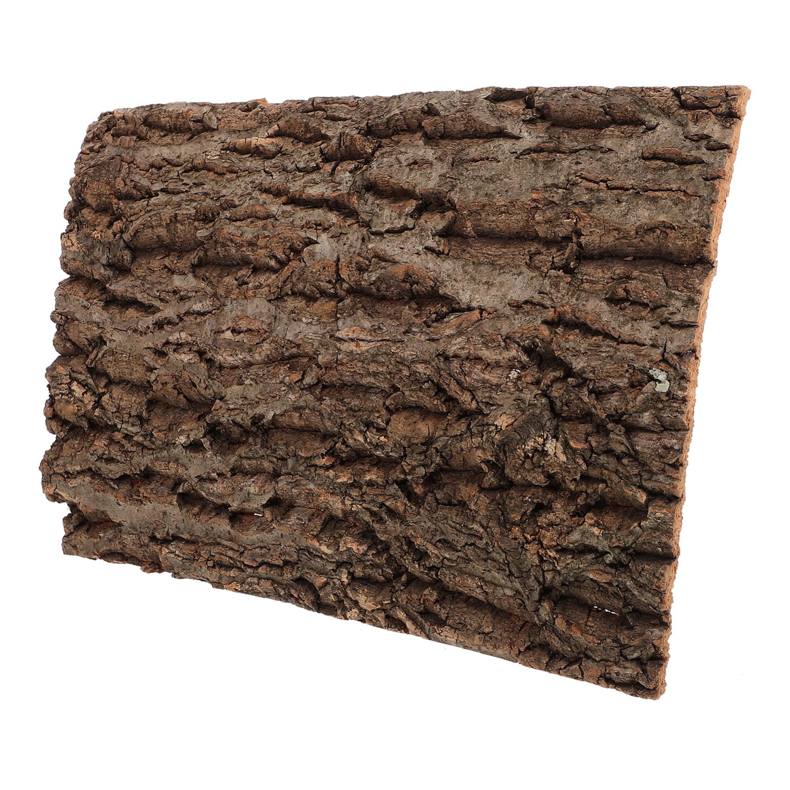 Sosoport Reptile Tank Background Bark Board Natural Decor for Aquariums Terrariums Material for Habitat for Reptile Fish Tank Decoration