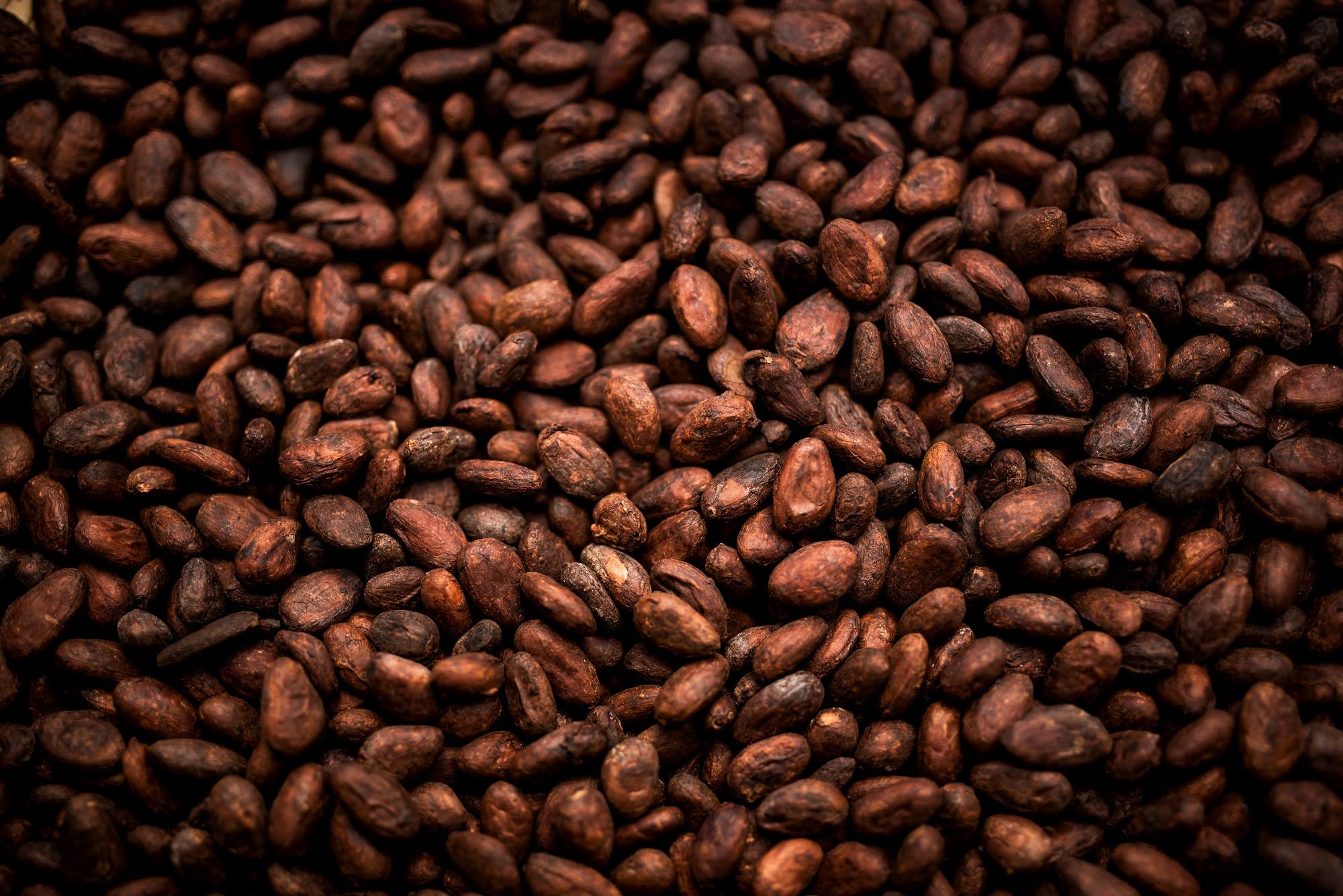Mynatura Bio Kakao, stark entölt I Kakaopulver I Cacao I entölt I Backen I Getränk I Kochen I Rein pflanzliches Pulver I Vegan I Im Beutel (3x 1000g)