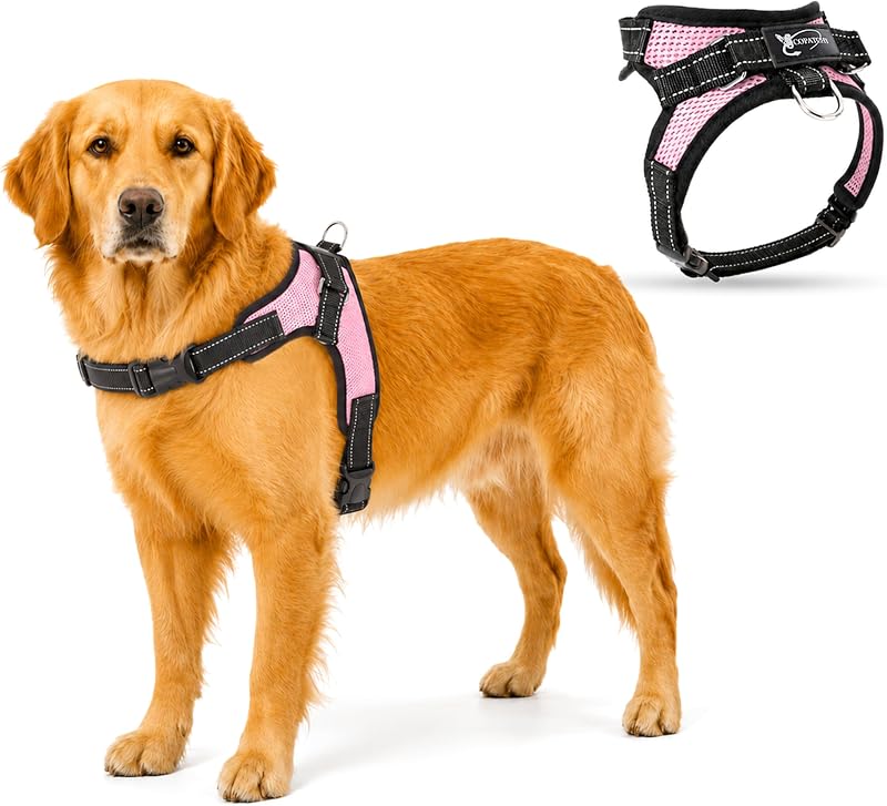 Peitoral Tipo Cabresto Ajustável com Tela Respirável e Faixa Refletiva Copatchy Rosa Tamanho Grande