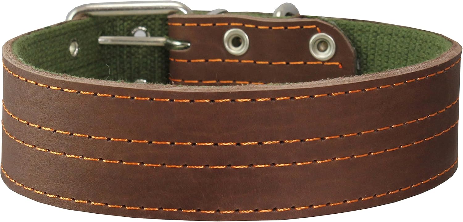Genuine Leather Dog Collar, Padded, Brown 1.75" Wide. Fits 23"-27" Neck Size Great Dane Newfoundland