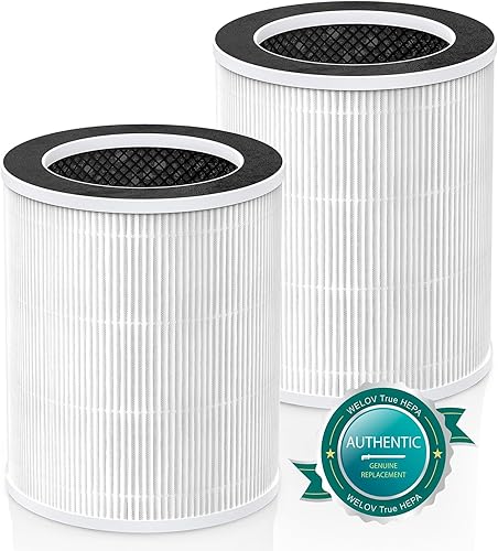 Welov P100 Filtro de repuesto para purificador de aire, 2 paquetes, 3 en 1 H13 True HEPA y filtro de carbón activado de alta eficiencia para caspa