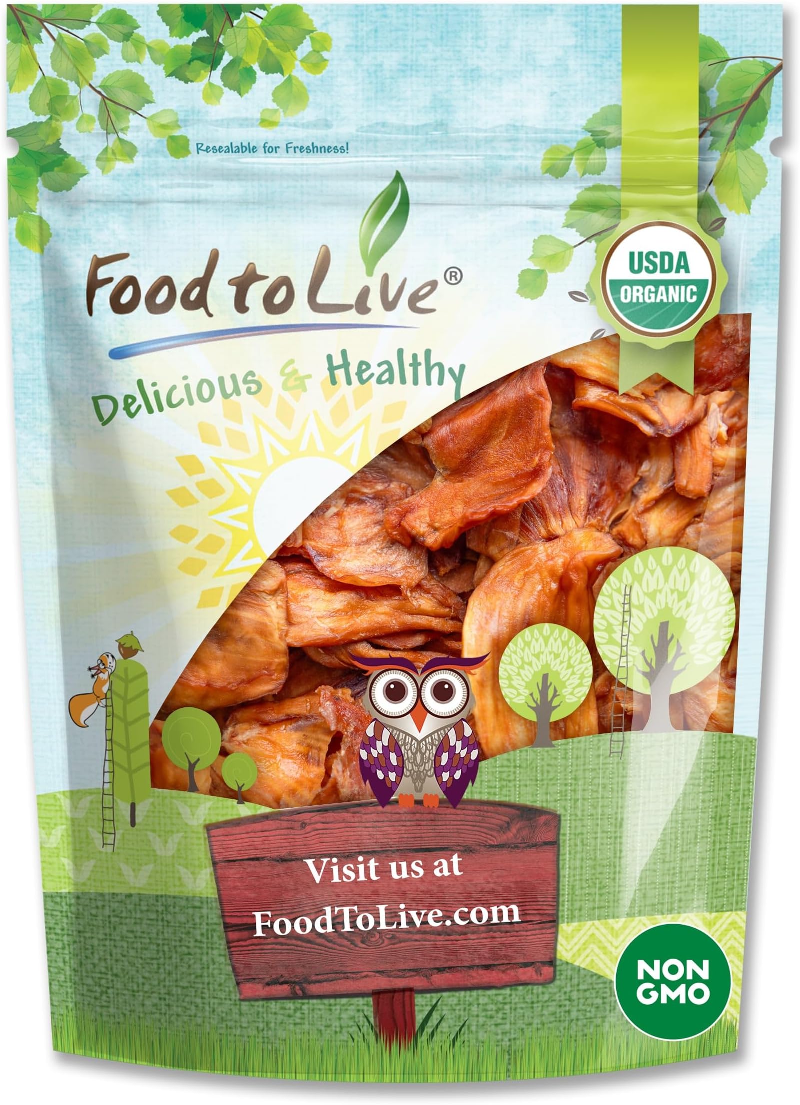 Food to Live - Organic Dried Jackfruit Slices, 12 Ounces - Non-GMO Chewy Snack for Kids and Adults, Unsweetened, Unsulfured, Nutritious Vegan Superfood in Bulk, Kosher