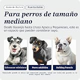 Ver la foto 2