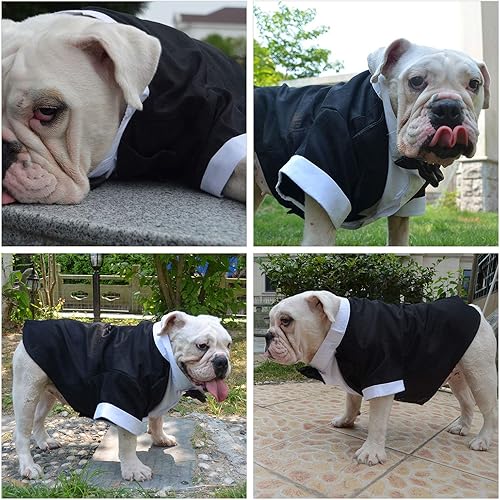 Miniatura 5 de Lovelonglong Disfraz de mascota para perro, traje formal de esmoquin con pajarita negra para perros medianos, ropa Husky negro, talla L-M