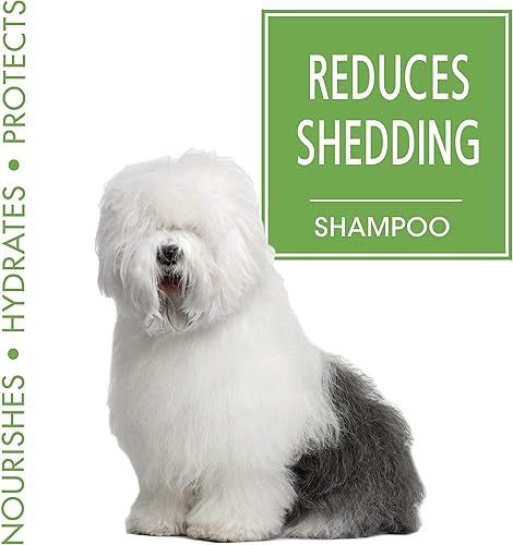 Miniatura 28 de Four Paws Magic Coat Champú medicado para perros para alergias cutáneas, 16 onzas (1 unidad)