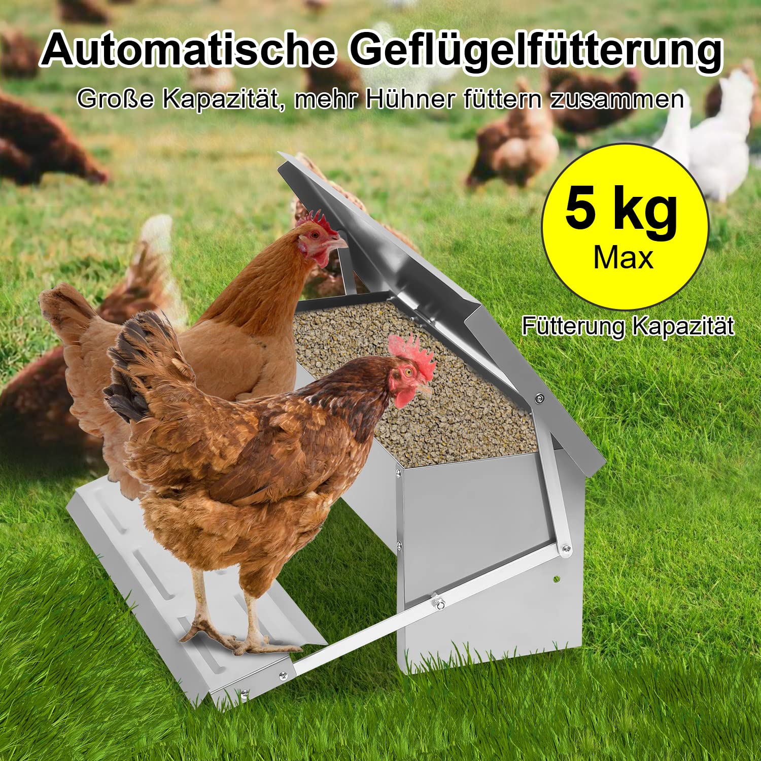 Randaco Mangiatoia automatica per polli in acciaio zincato, 5 kg, con pedale automatico e coperta impermeabile, cibo per pollame, impermeabile e a prova di topi