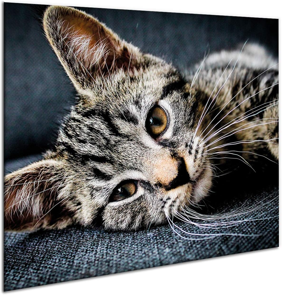 Ceramic Induction Hob Protector Cover 60 cm x 52 cm | Kitchen Wall Splashback | Large Chopping Board | Universal Tempered Glass Panel | Worktop Saver | Food Preparation | Sink Cover | by semUp