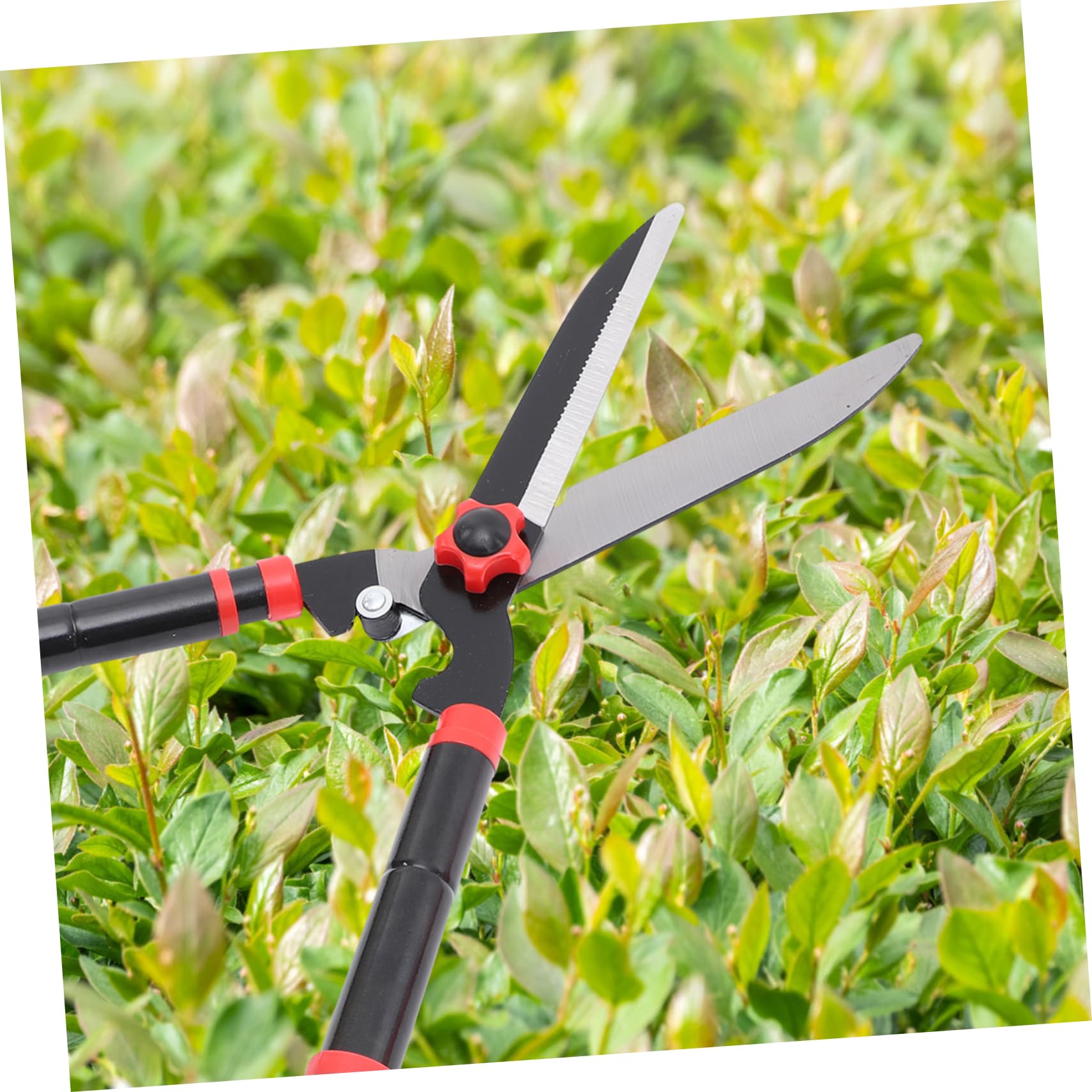 ibasenice Cesoie Da Giardino Manuali Per Siepi Attrezzi Da Giardinaggio Per Potatura Alberi Cesoie Per Arbusti in Acciaio Impugnature Ergonomiche in Gomma Antiscivolo