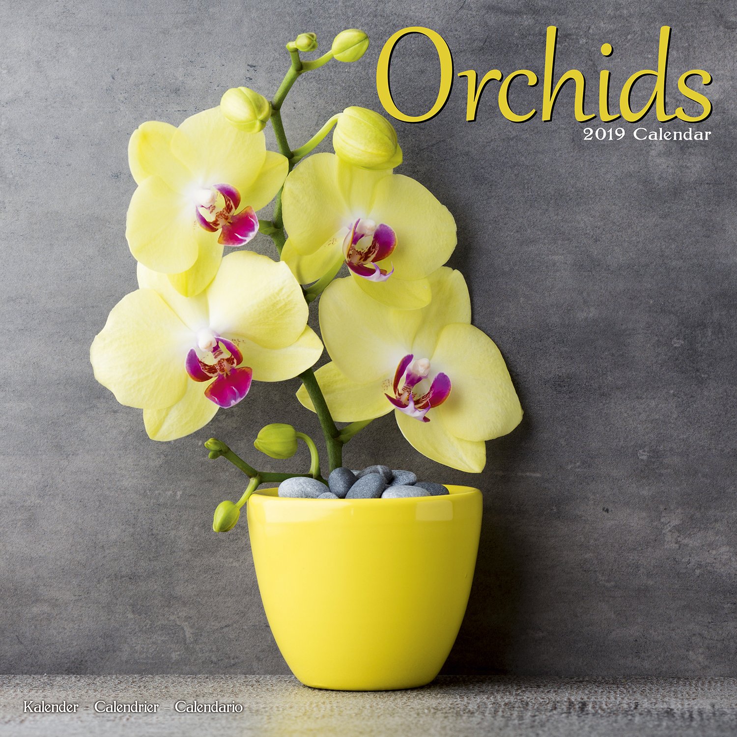 Garden Calendar - Flower Calendar - Orchids Calendar - Calendars 2018 - 2019 Wall Calendars - Orchids 16 Month Wall Calendar by Avonside
