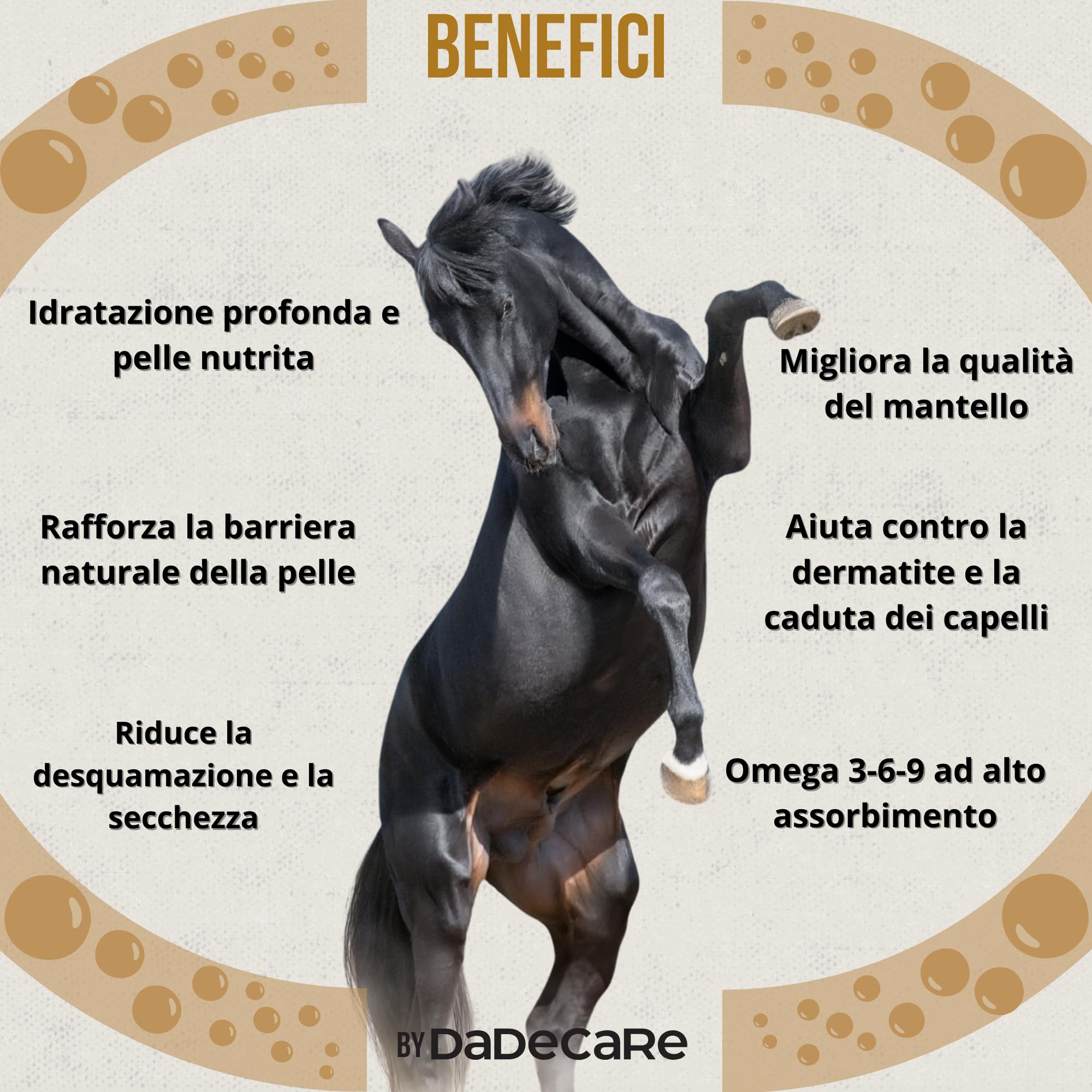 Skingcare - Integratore Dermatologico per Cavalli - 1L | Omega 3 6 9 con semi di Lino, Camelina, Girasole e Salmone: | Supporto Nutrizionale per Pelle Secca e Manto Opaco