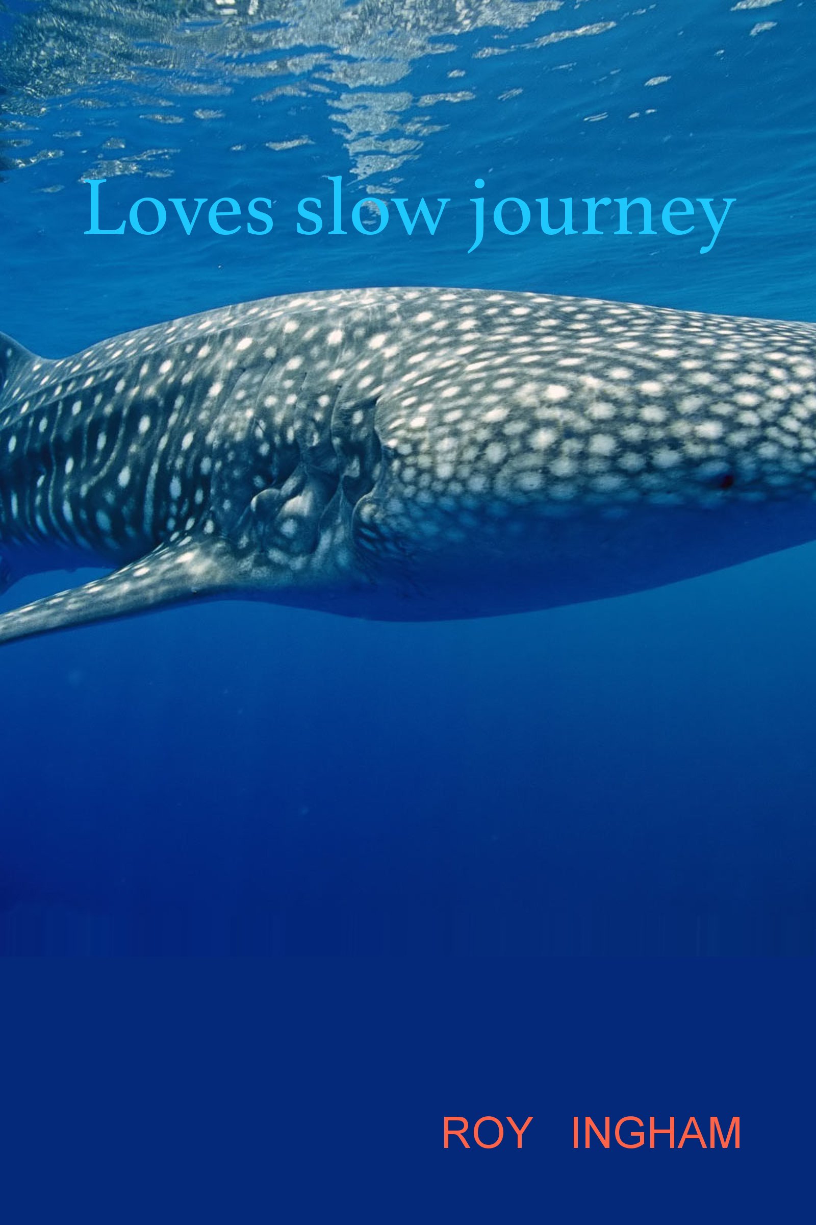Loves Slow Journey (Protect Our Home Book 1)