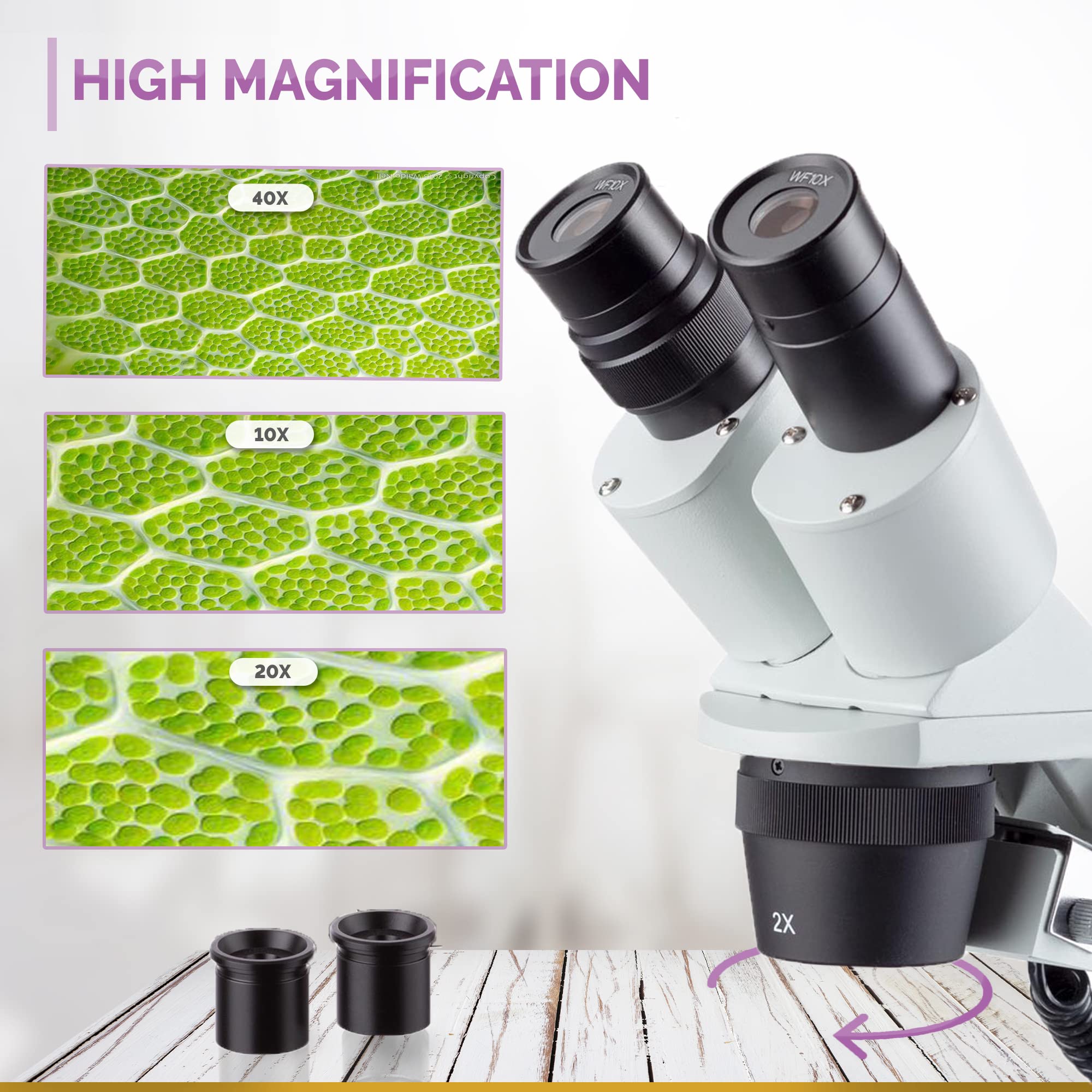 Microscopio estéreo compacto de múltiples lentes 40X-80X con cabeza angular, soporte de pilar de metal, iluminación LED superior e inferior
