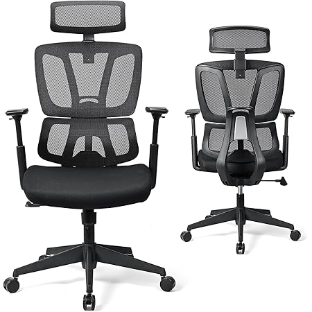 Desktronic Verstellbarer Ergonomischer Bürostuhl | Schreibtischstuhl