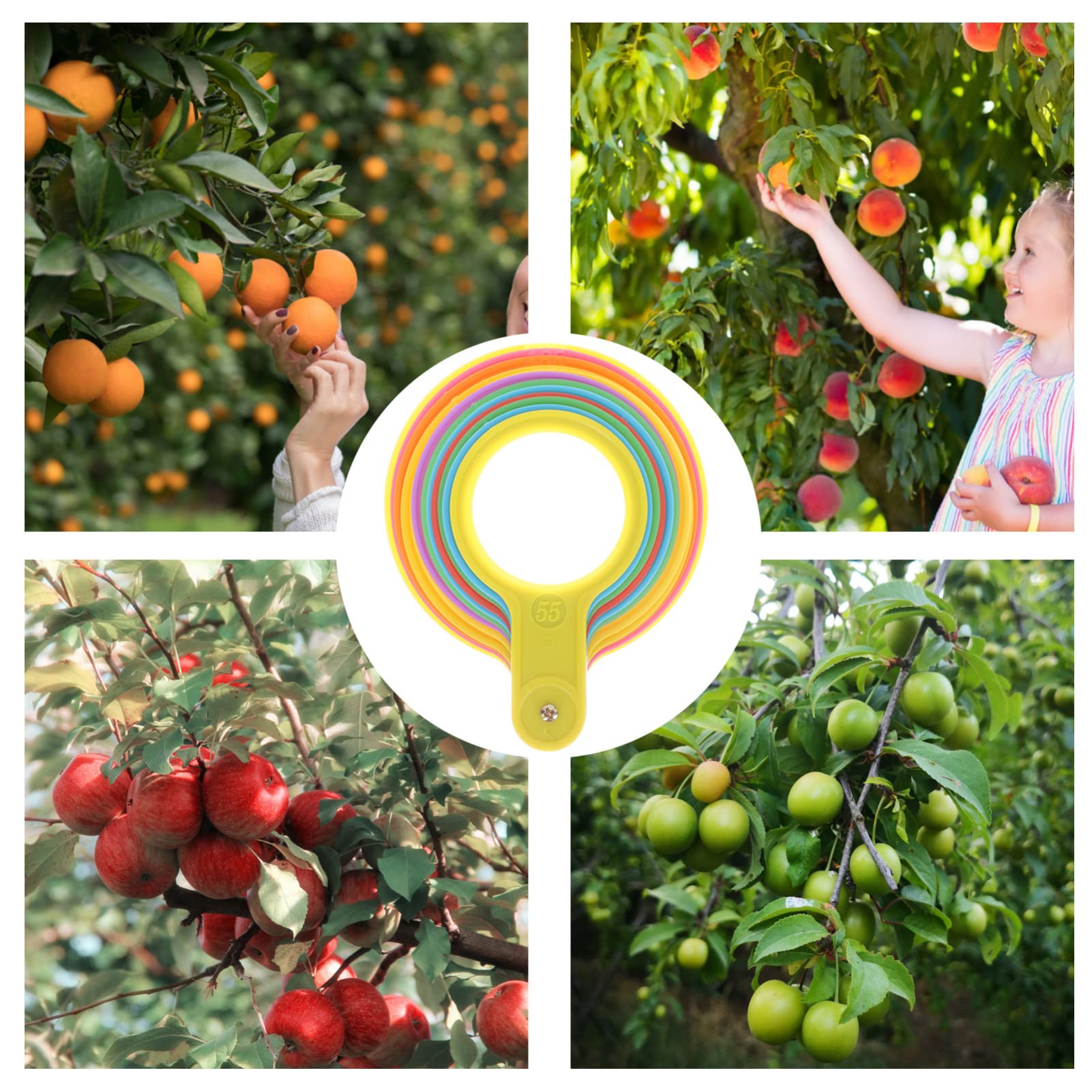 Happyyami Anelli di Misurazione della Frutta Strumento Misurazione Diametro Arancione Misuratore di Verdure