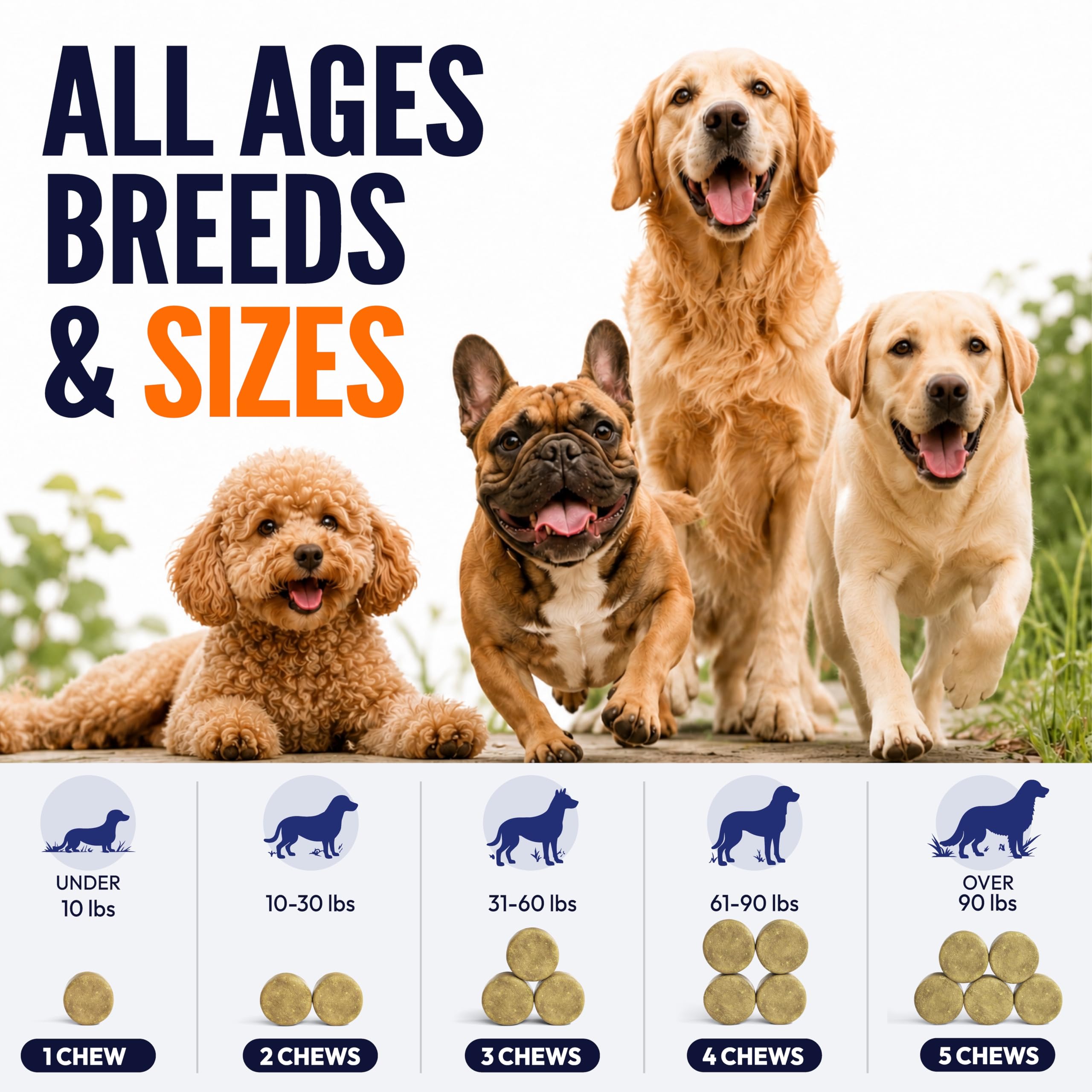 Omega 3 for Dogs - 250 Fish Oil Chews for Dog Shedding & Allergy Relief — Amazon image 8