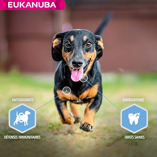Foto 7 de 8 de Eukanuba Adulto Control de peso Raza mediana Pollo [3 Kg]