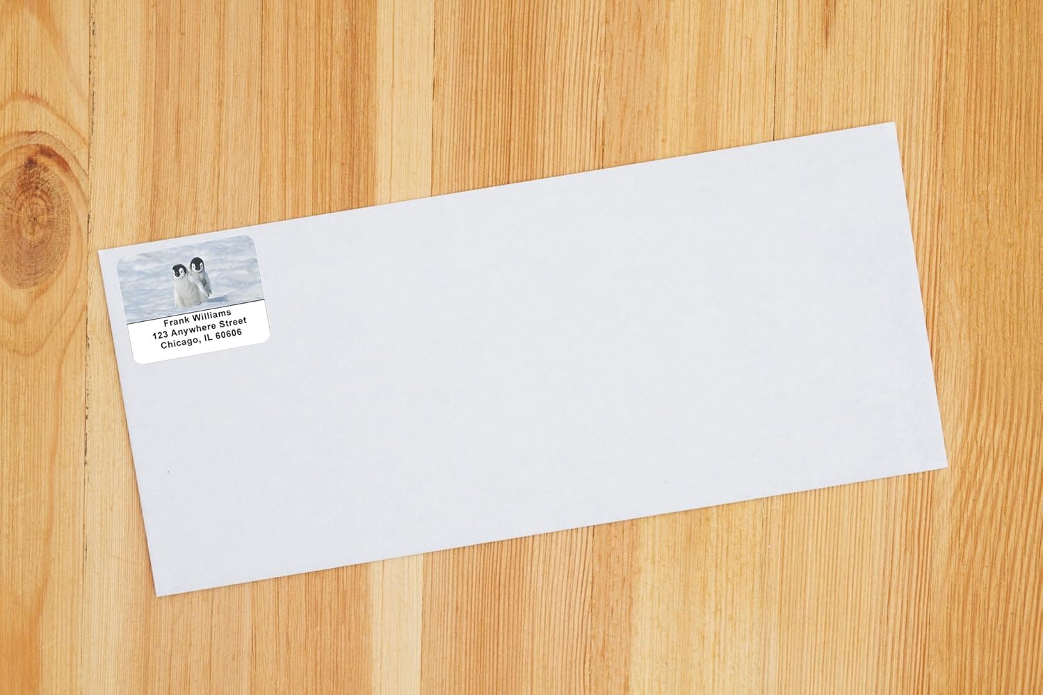 Cute Penguin Chicks Address Labels